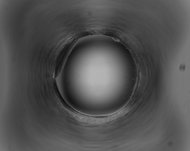 X0000102480048200808081315