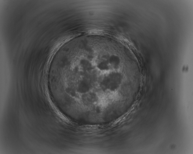 X0000102480049200808081314