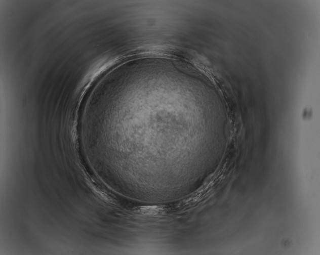 X0000102480050200808081314