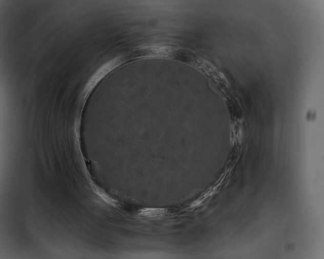 X0000102480051200808081314