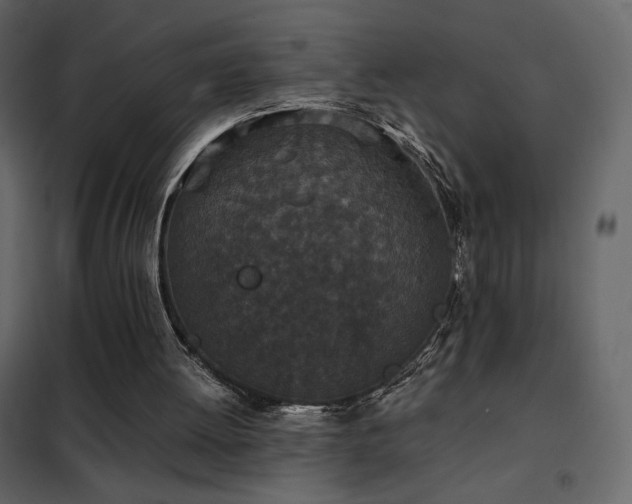 X0000102480052200808081315