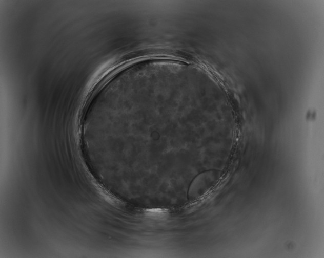 X0000102480053200808081315