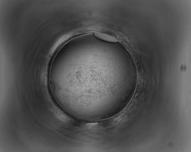 X0000102480054200808081315