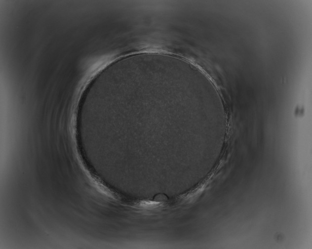 X0000102480055200808081315