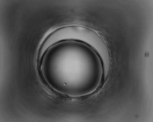 X0000102480056200808081315