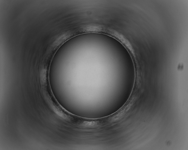 X0000102480057200808081315