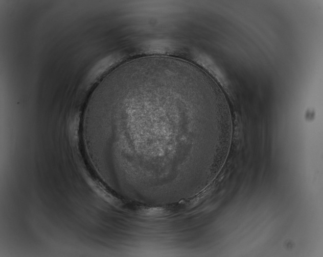 X0000102480058200808081315