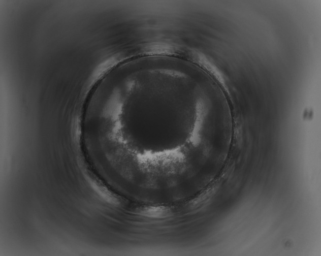 X0000102480059200808081315