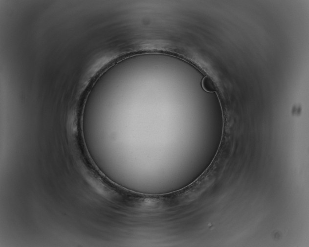 X0000102480060200808081315