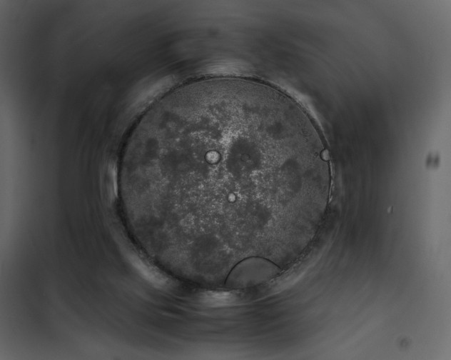 X0000102480061200808081315