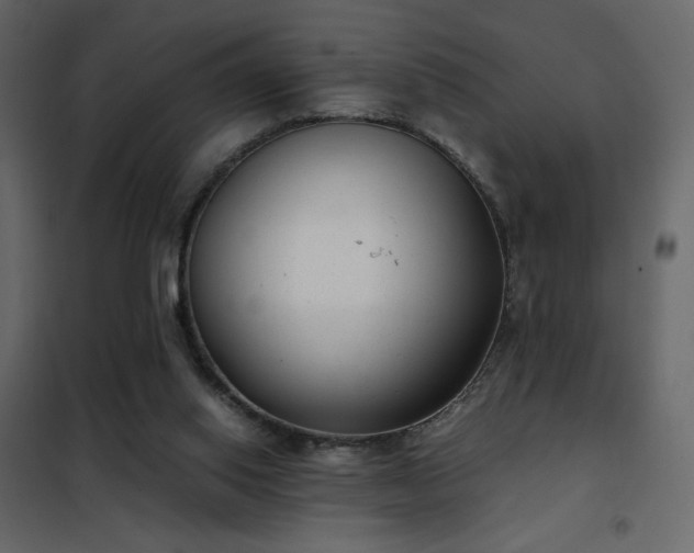 X0000102480062200808081315