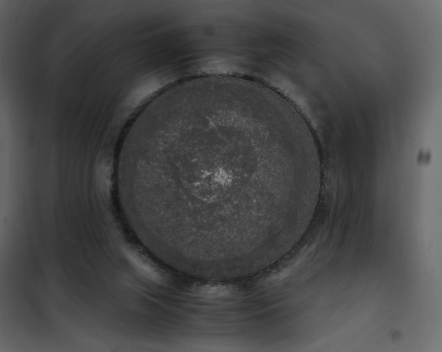 X0000102480063200808081315