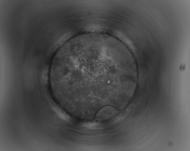 X0000102480065200808081315