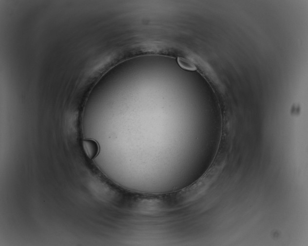 X0000102480066200808081315