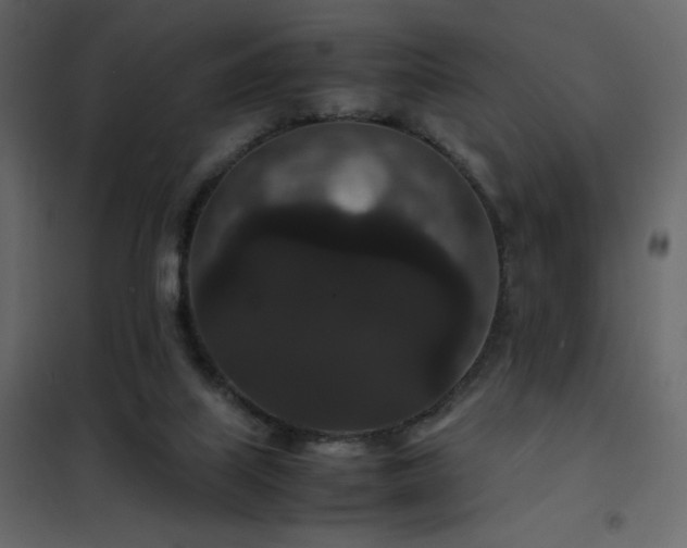 X0000102480067200808081315