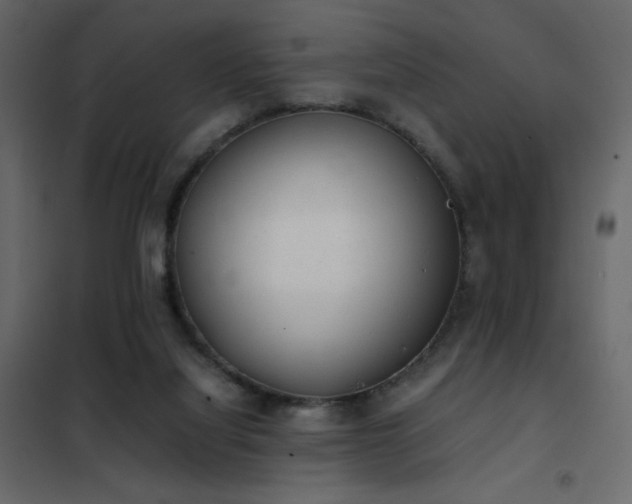 X0000102480068200808081315