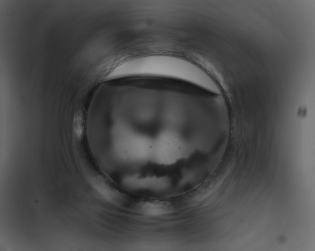 X0000102480069200808081315