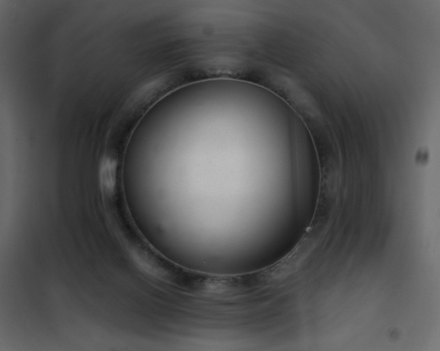 X0000102480070200808081315