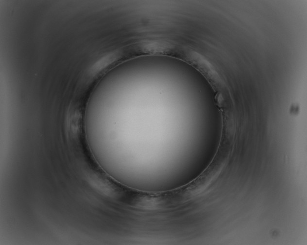 X0000102480071200808081315