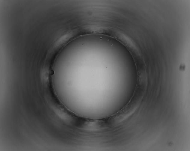 X0000102480072200808081315