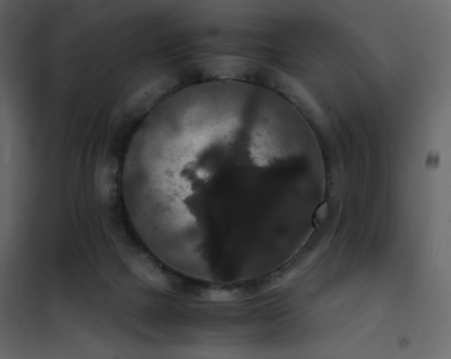 X0000102480073200808081315