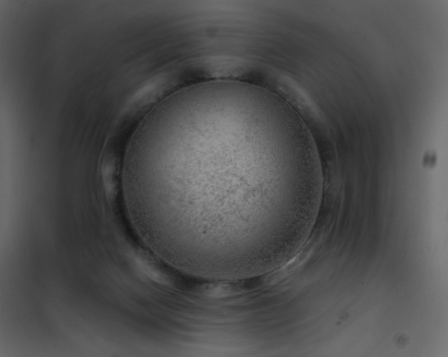 X0000102480074200808081315