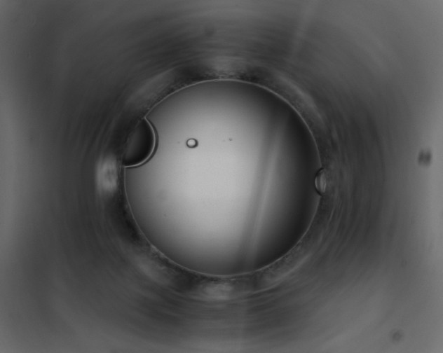 X0000102480075200808081315