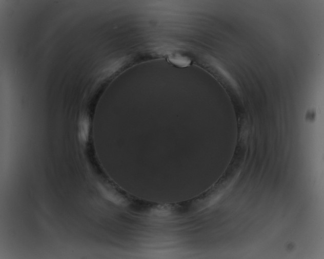 X0000102480076200808081315