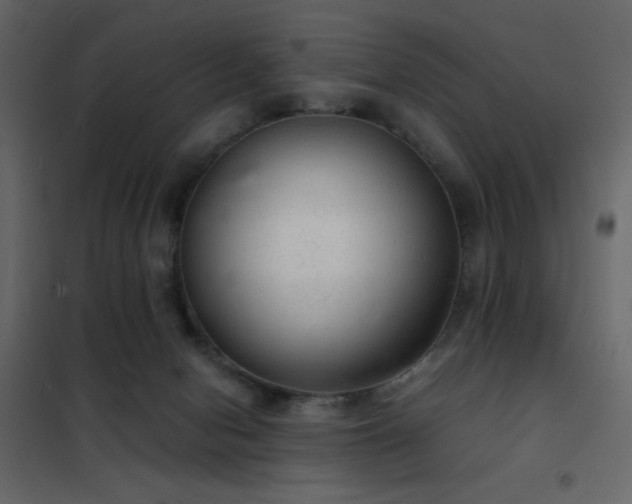 X0000102480078200808081315