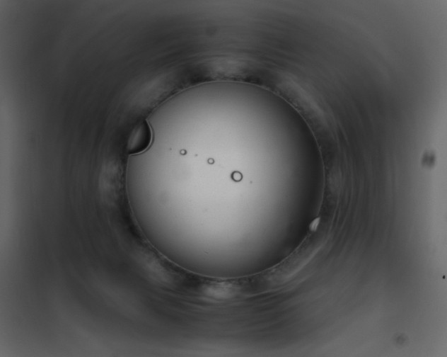 X0000102480079200808081315