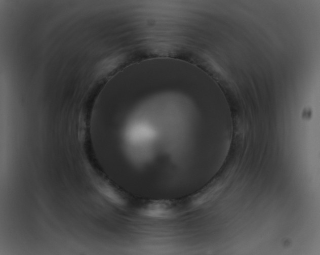 X0000102480080200808081315