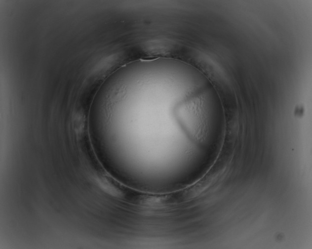 X0000102480081200808081315