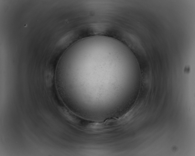 X0000102480082200808081315