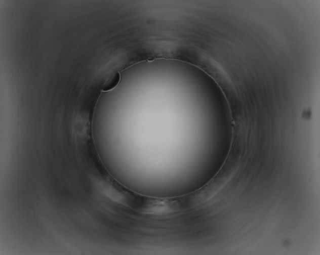 X0000102480083200808081315