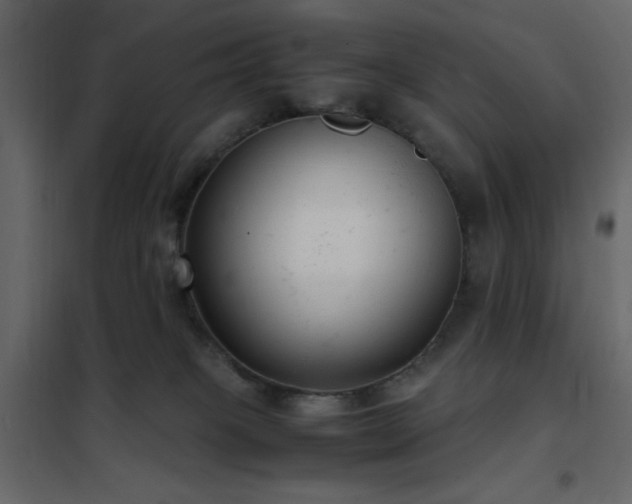 X0000102480085200808081315