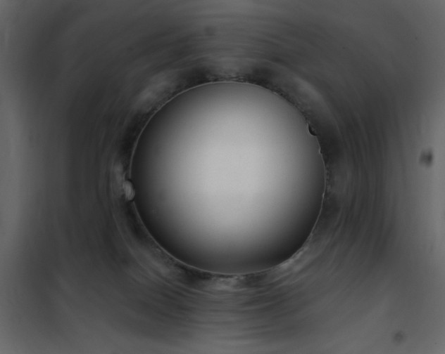 X0000102480086200808081315