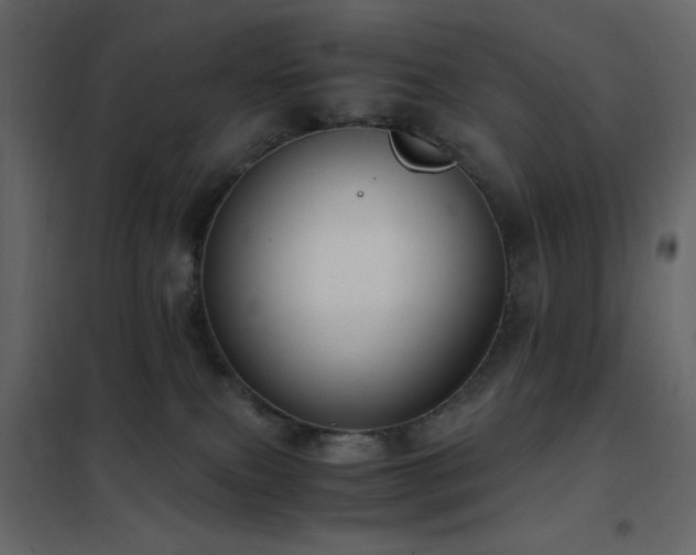 X0000102480087200808081315