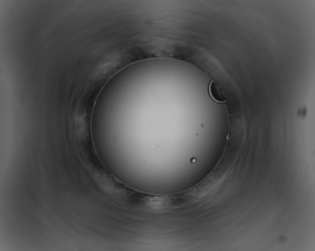 X0000102480088200808081315