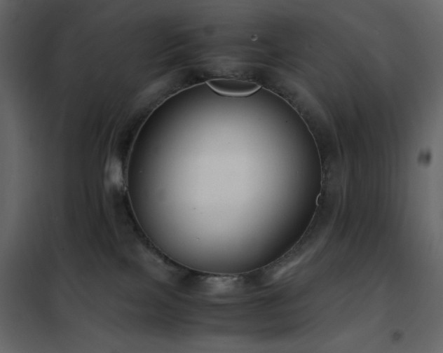 X0000102480089200808081315