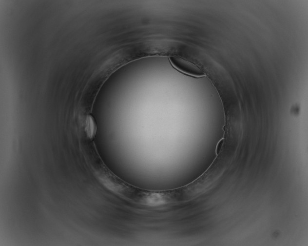 X0000102480091200808081315