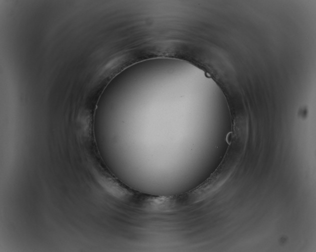 X0000102480092200808081315