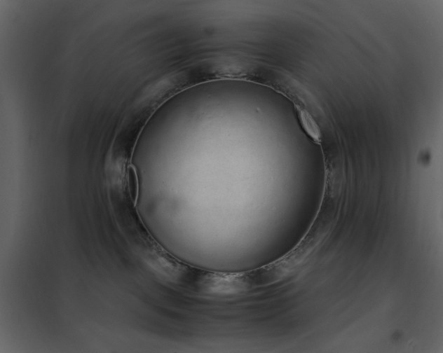 X0000102480093200808081315