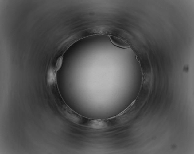 X0000102480095200808081315