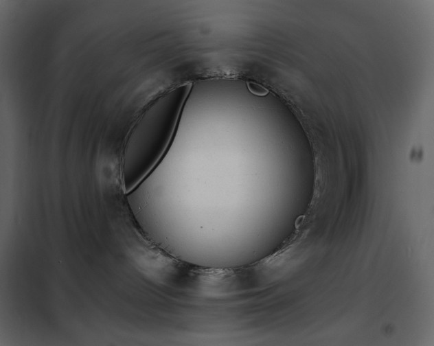 X0000102480096200808081315