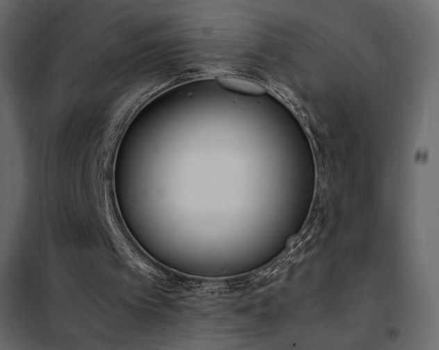 X0000102480097200808081314