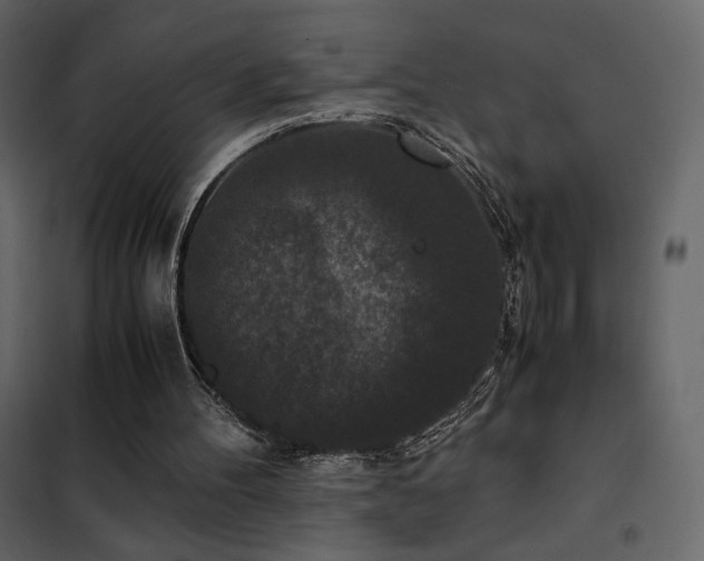 X0000102480100200808081314