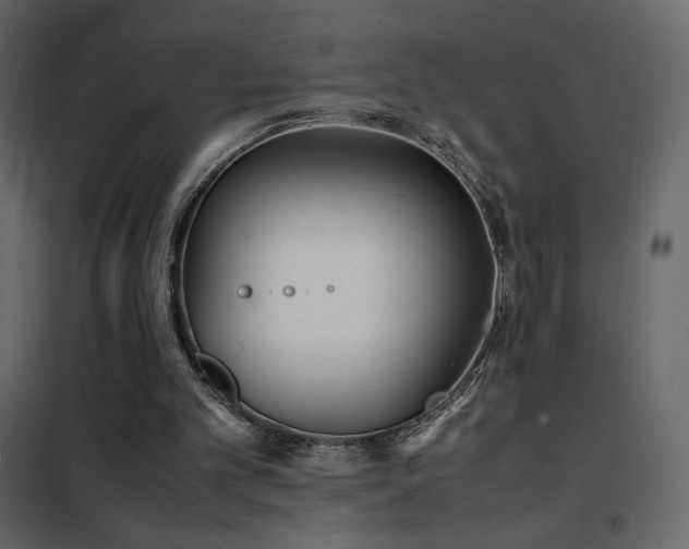 X0000102480101200808081314