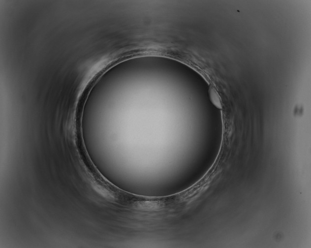 X0000102480102200808081314