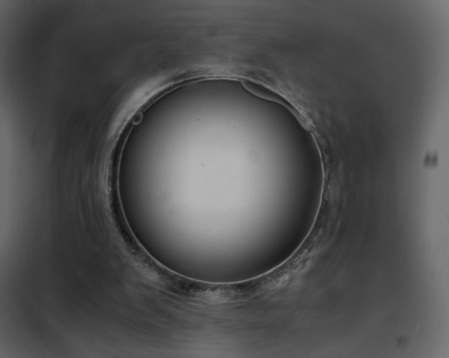 X0000102480103200808081314