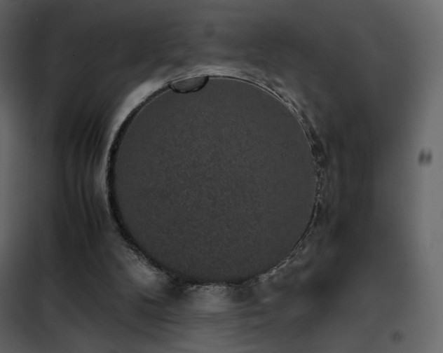 X0000102480104200808081314